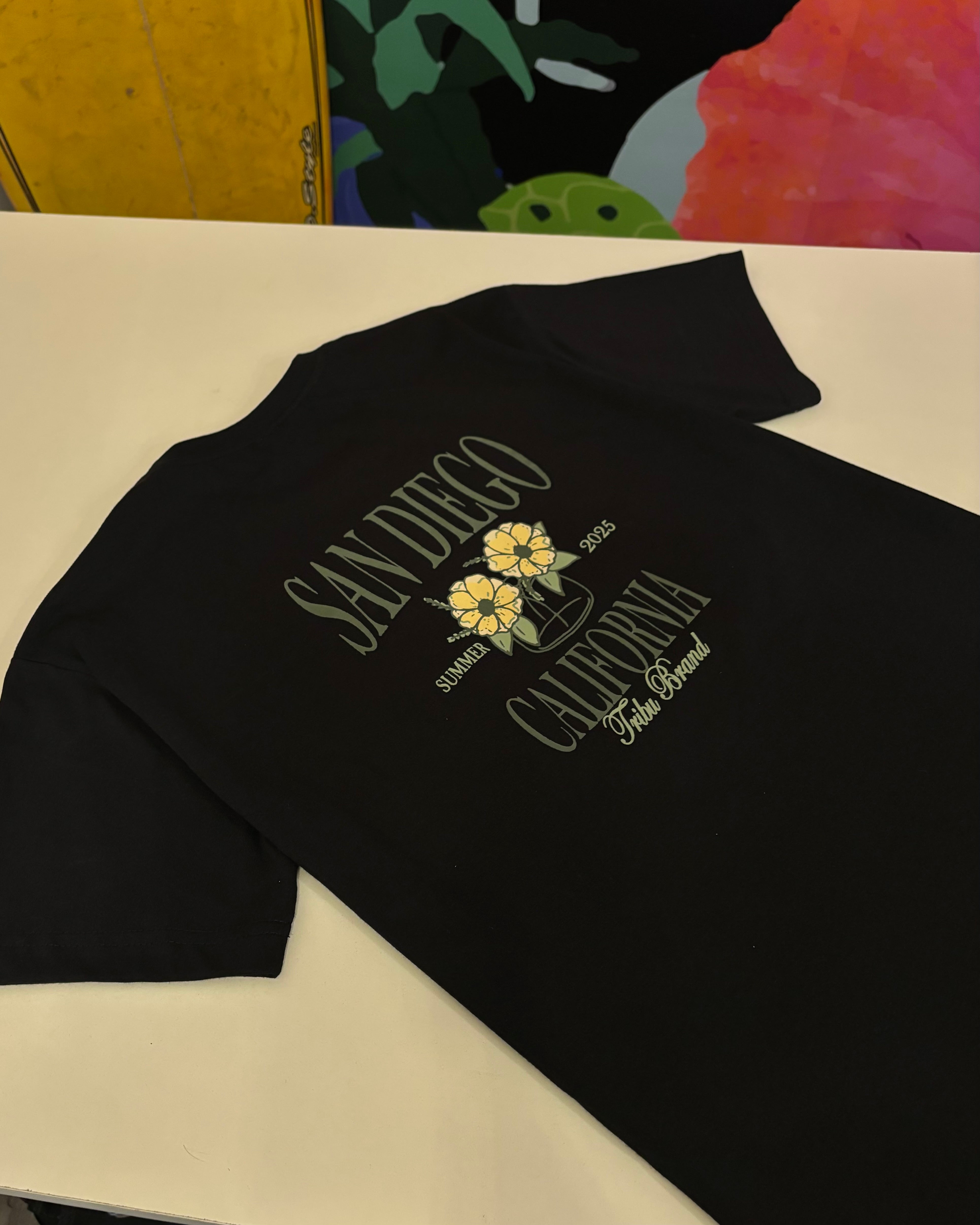 Remera clásica San Diego 🌼